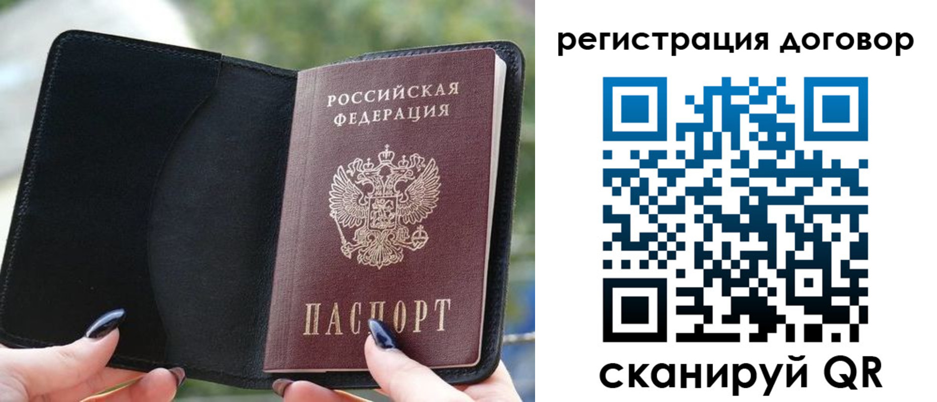 регистрация для школы в Александрове