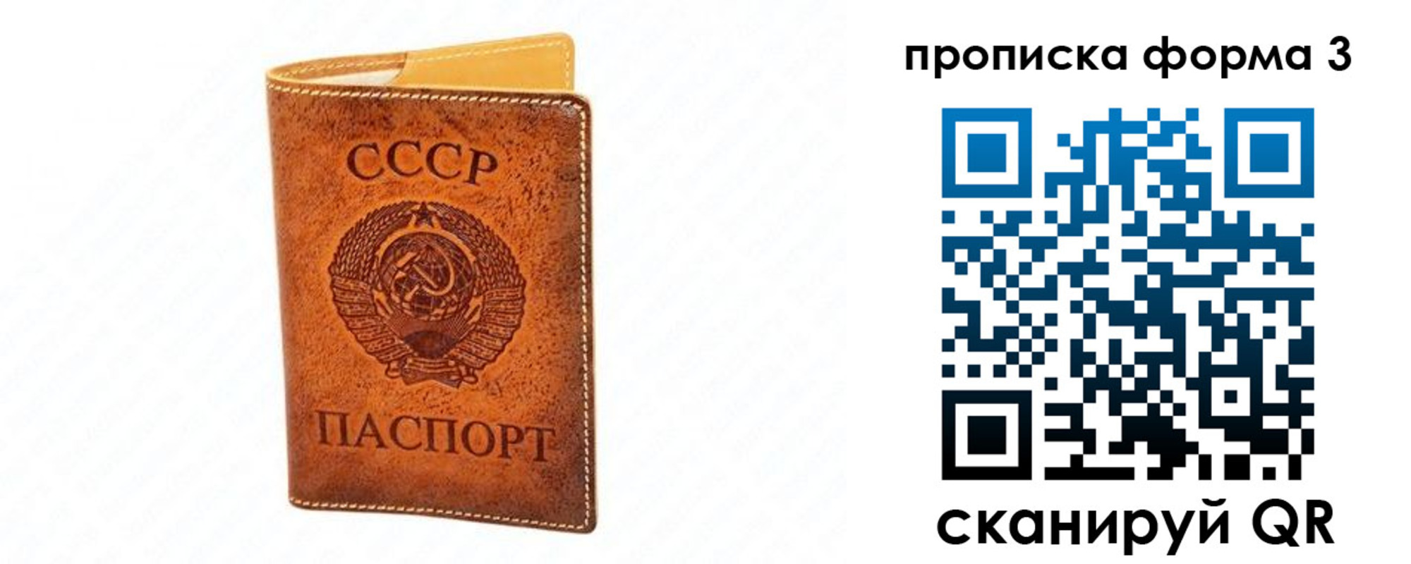 временная регистрация госуслуги в Александрове